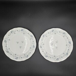Johann‎ Haviland Bavaria Germany Blue Floral Rimmed Dinner Plates Set of 2